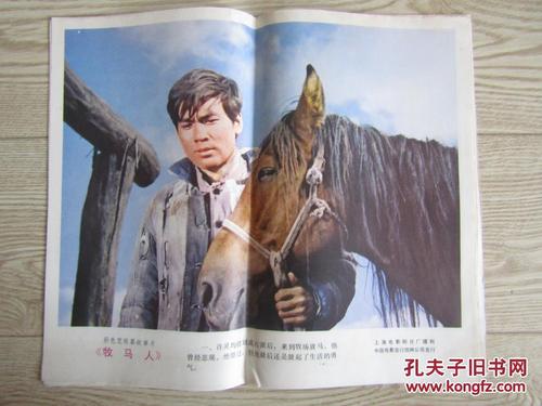 代办奈阿克学院学位证